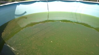 My SUPER DIRTY pool smells so bad - NoSlack's First Ever Vlog