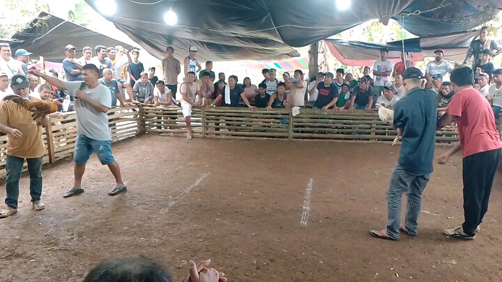 Wala 11streak na. Meron tinanggalan Ng kalo para maputol regla sa Wala. pero Ang Wala... 🤣🤣🤣