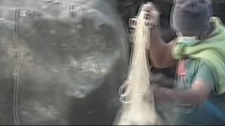 cast net fishing in Nepal | cast netting | himalayan trout fishing |