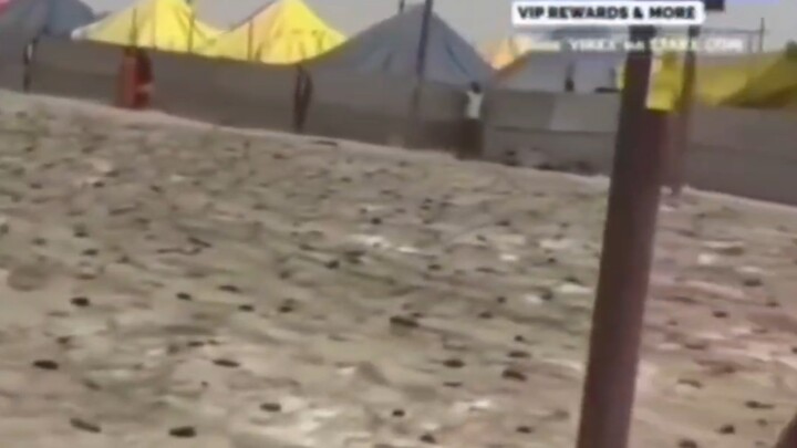 India’s Beach “Landmine” Dense Array (Avoid watching during meal times—definitely don’t share this w