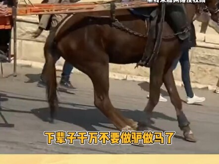 Hope it doesn’t have to suffer so much in its next life.