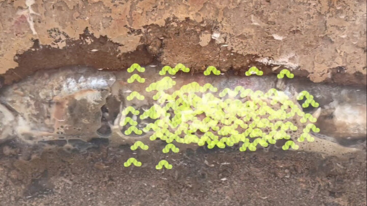 埋鱼测试以来最爆的东东，画面有点恐怖请自行脑补！