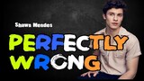 Perfectly Wrong - Shawn Mendes (LYRICS)