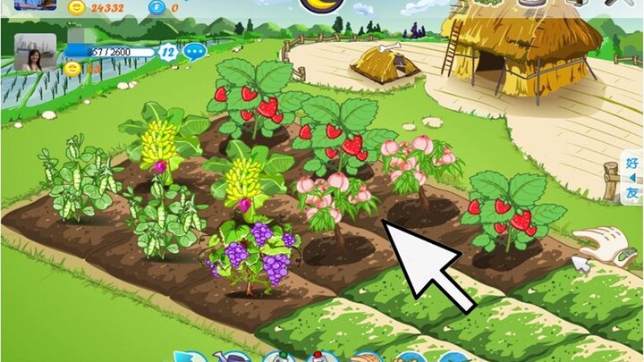 [Sejarah Game Online Tiongkok] Mencuri Sayur Jadi Populer, Perusahaan Malah Bangkrut? Kisah Sedih di