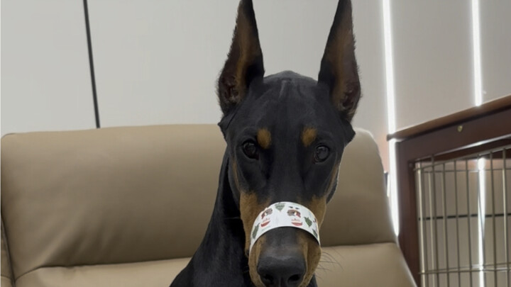 Hahahahahahahaha I can’t stop laughing