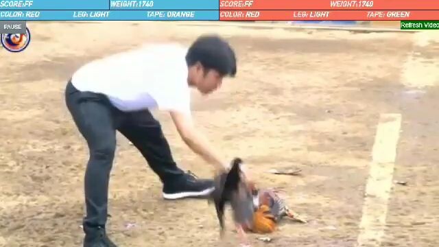 boston rh cross winner