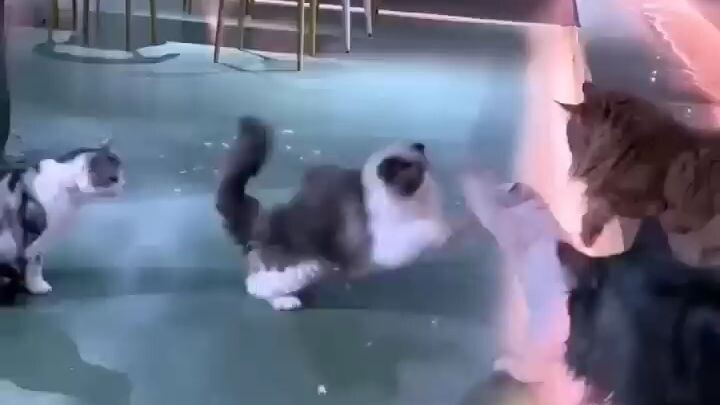 Boss entry