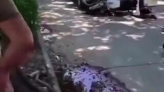 Woman bumps into police officer and frantically jumps around in panic