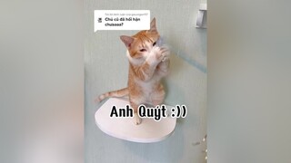 Trả lời   Em bé được chị  chăm sóc quá tốt mèo cat