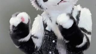 Dreaming back to the debut night, shouting out my name!!! [Silver Carbon][Furry Dance]