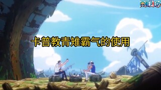 原来青雉的霸气是卡普教的! 亦师亦友的关系