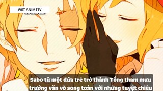 Top 8 Cặp Đôi Được Yêu Thích Trong One Piece #5 6