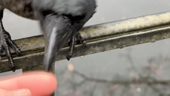 เขาจูบฉัน เขามีฉันอยู่ในใจ