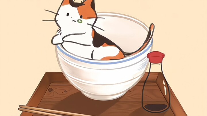 “The Birth Process of a Kitten”