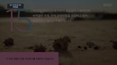 Dinner Mate.Ep29-30