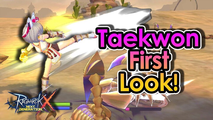 [ROX] Released Now! Taekwon First Look In TW Server! | King Spade