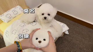 我真坏啊 竟然还没我的小狗大方🥺🥺🥺