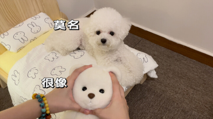 我真坏啊 竟然还没我的小狗大方🥺🥺🥺