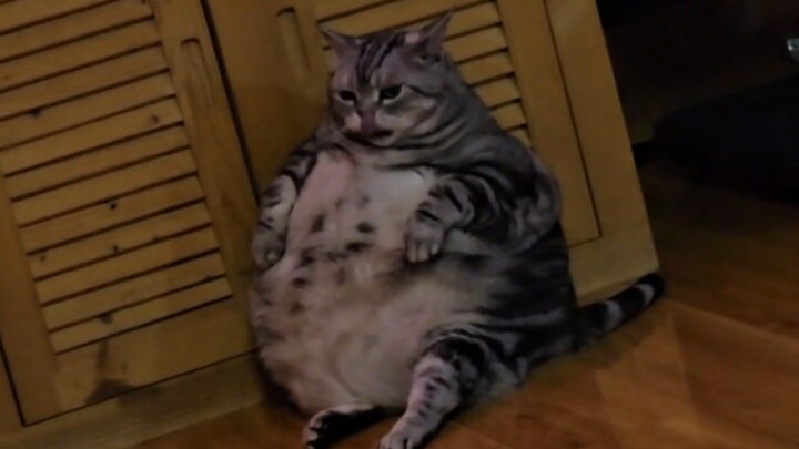 “Teach those American bastards a lesson!”