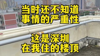 种菜基因一旦觉醒，便一发不可收拾！