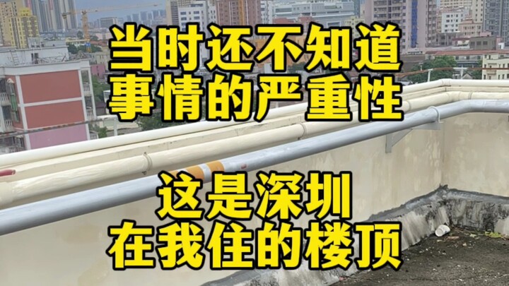 种菜基因一旦觉醒，便一发不可收拾！