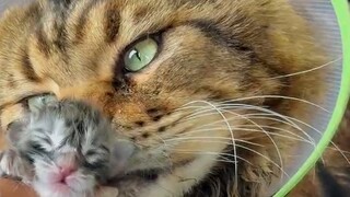 Robin: Do you think this scene is beautiful...