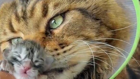 Robin: Bạn có thấy cảnh này đẹp không...