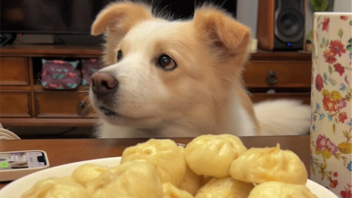 ซาลาเปาที่ครอบครัวโค้กส่งมา ร้านอาหารยามดึกกลับมาเปิดอีกครั้งแล้ว