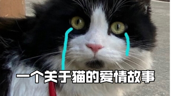 Construction Site Love Story