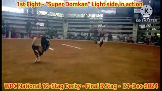 Super Domkan "Light side" - "Cutting + Speed + Power" - 2024 WPC 12-Stag National Derby
