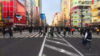 Explore Ryogoku Tokyo Sumo Town and Akihabara Electric Streets  4K HDR Japan Wal