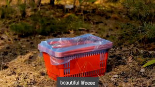 bơi nào bơi nào p2 #beautifullifeeee
