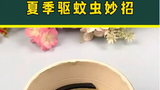 شارك بعض الحيل الرائعة لطرد البعوض والحشرات في الصيف، تعال وتعلمها بسرعة