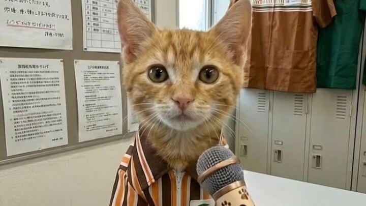 Bekerja benar-benar sangat melelahkan!