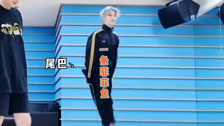 【ستراي كيدز】 ظاهرة البابو التي تنتقل من شخص لآخر