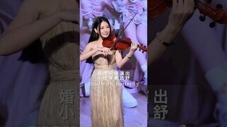 Violin Live performance on wedding DIGIMON Butterfly