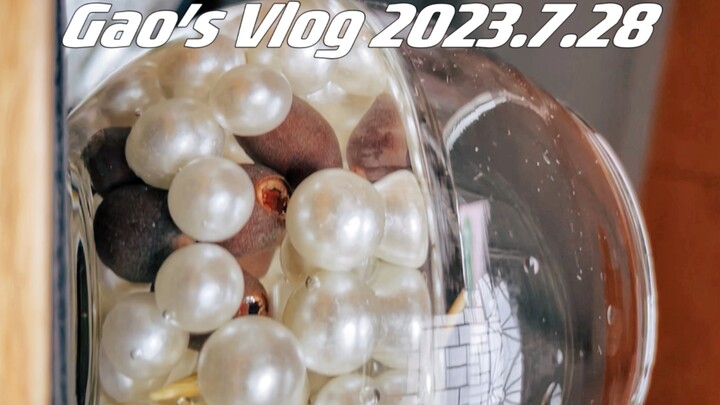 Growing Lotus at Home 8.0! Is This What You Were Hoping For?