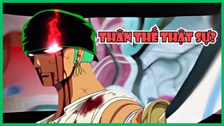 Zoro Và Sự Hiểu Lầm Về Thân Phận - Bàn Luận One Piece