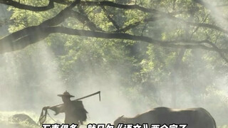 评论区摄影作品毒辣点评！