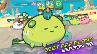 BEST PLANT CLASSIC AAP ONLY