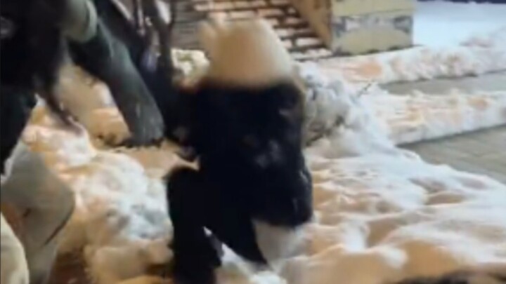 Bạn thân thì phải chỉn chu, ngay ngắn!