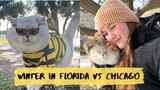 Winter in FLORIDA or CHICAGO? What does Apollo prefer?