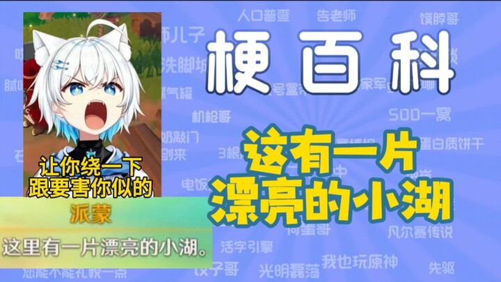 【สารานุกรมมีม】“ที่นี่มีทะเลสาบเล็กๆ สวยๆ แห่งหนึ่ง” คือมีมอะไรกัน