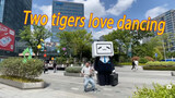 Two Erhu's love to dance