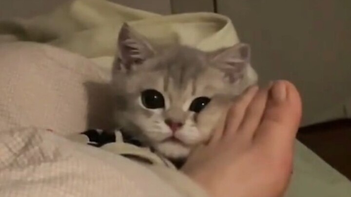 "It's really amazing!!"