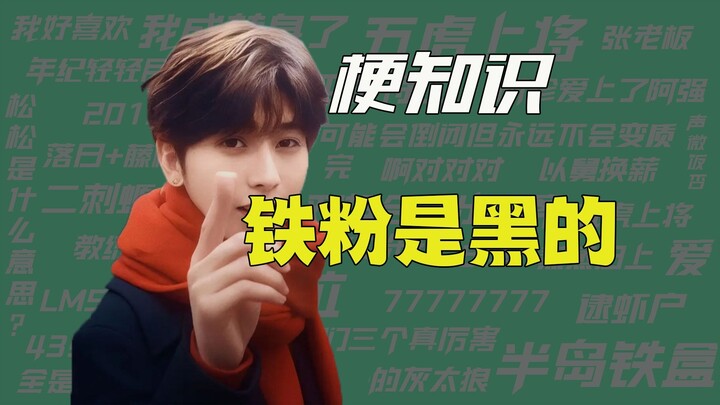 [Fun Fact] Iron powder is black!