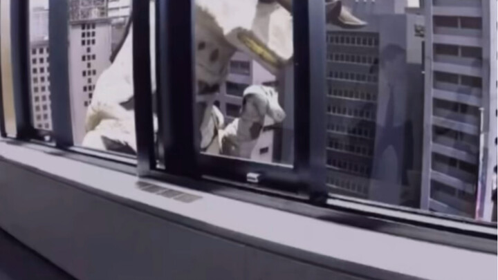 Brothers! I successfully time-traveled during the Seven Stars Alignment—but something went wrong: I’