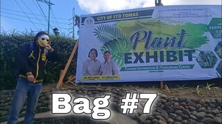 Plant Exhibit Stotomas Batangas  Bag #7