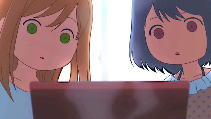 The computer burned up!