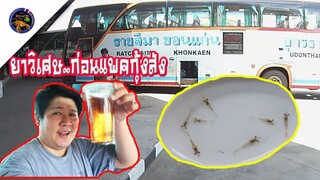 ลูกกุ้งก้ามกรามออกเดินทางมุ่งหน้าสู่จังหวัดต่างๆสไตล์korattv